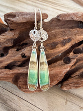 Load image into Gallery viewer, Petrified Opalized Wood Leverback Earrings with Sand Dollar Accents