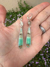 Load image into Gallery viewer, Petrified Opalized Wood Leverback Earrings with Sand Dollar Accents