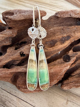 Load image into Gallery viewer, Petrified Opalized Wood Leverback Earrings with Sand Dollar Accents
