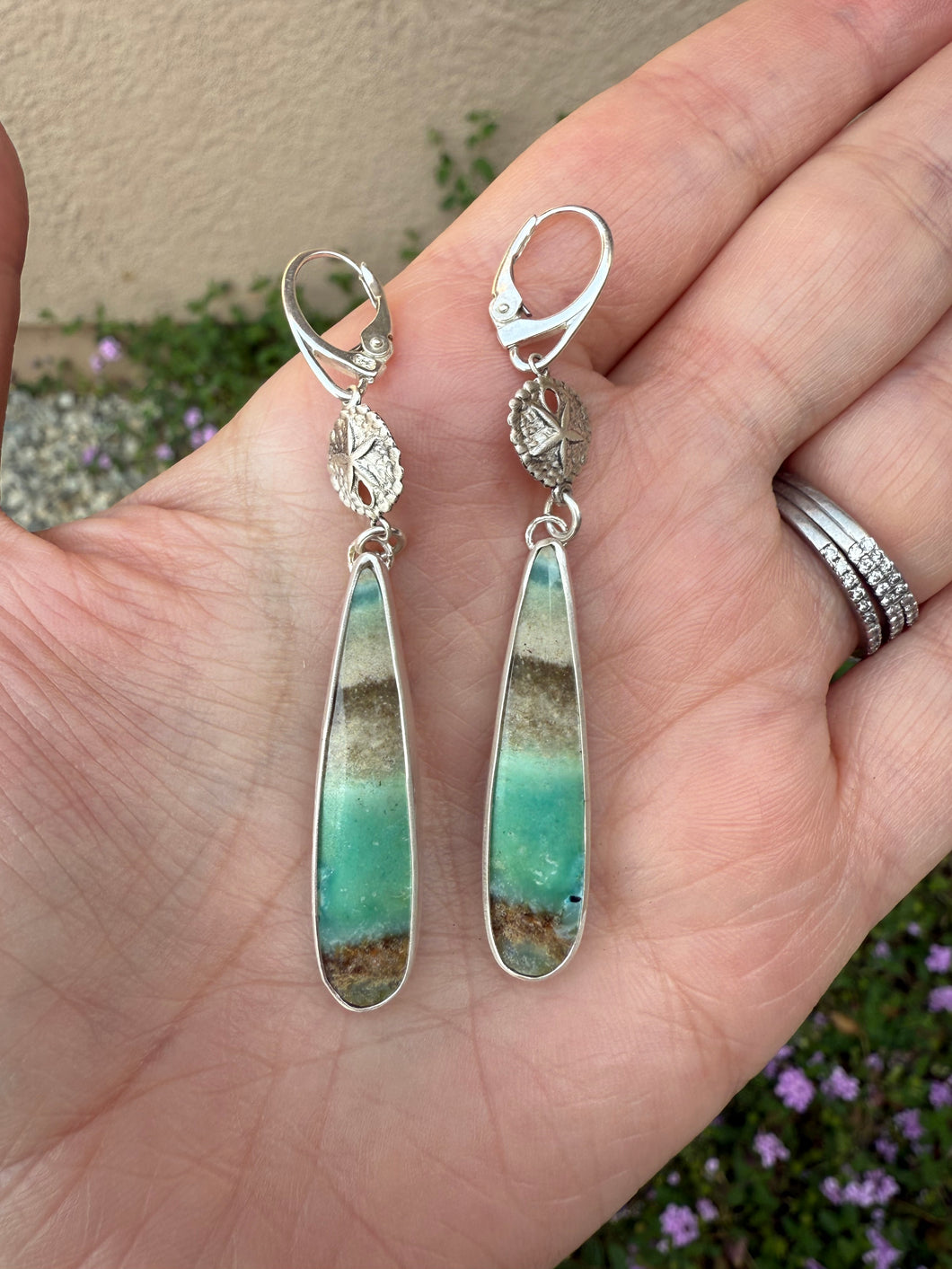 Petrified Opalized Wood Leverback Earrings with Sand Dollar Accents